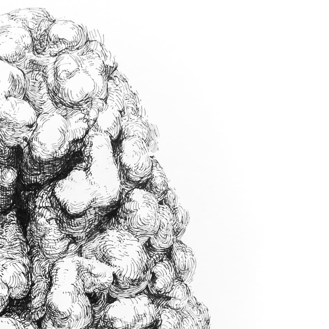 little coral closeup 2