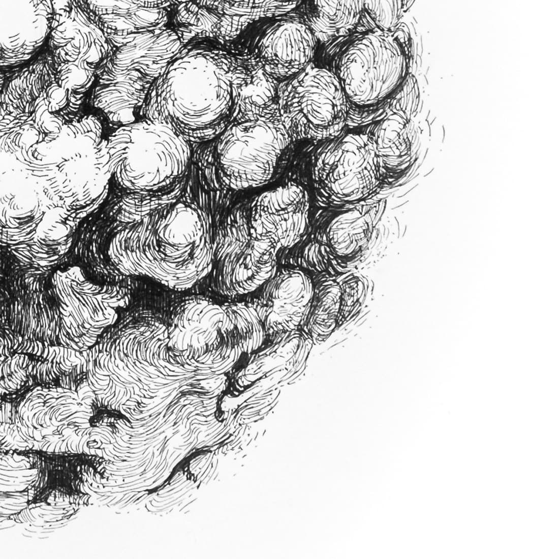 little coral closeup 4